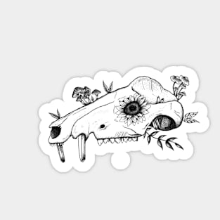 Opossum Skull Design Sticker